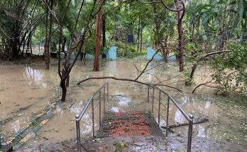 Cyclone lands severe blows on trees, plants in Nageswara Rao Park. Place is flooded.